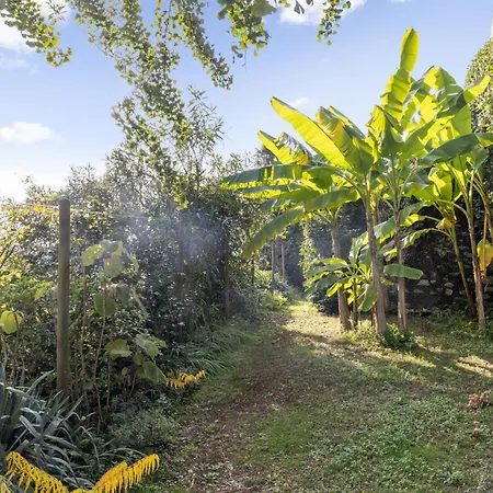 Egner- Apt-glaspalast By Interhome *